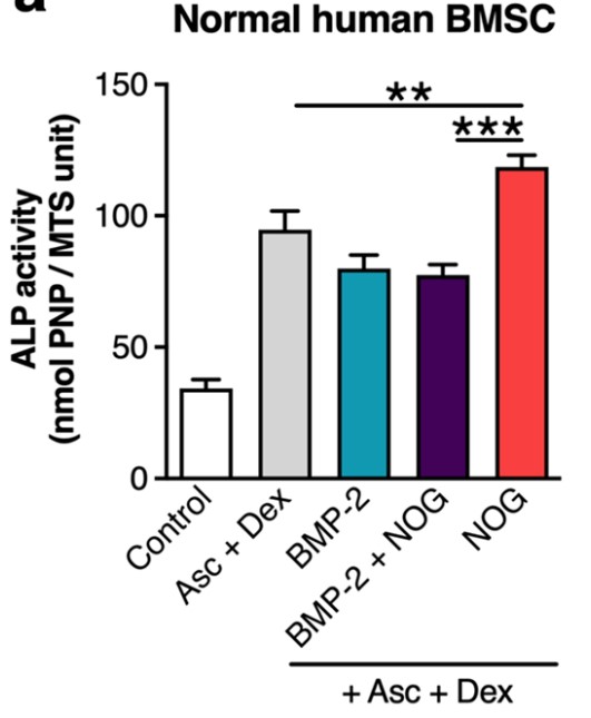 Alkaline phosphatase (ALP) activity.jpg